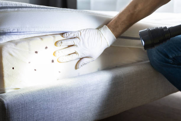 Pest Control for Restaurants in Ludlow, KY