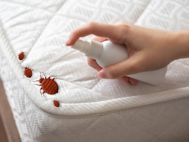 Professional Pest Control in Ludlow, KY