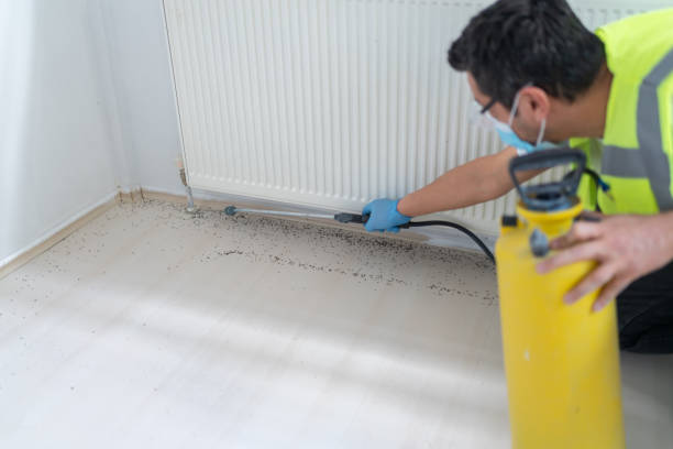 Best Residential Pest Control  in Ludlow, KY